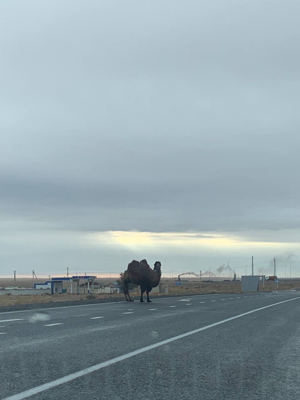 Переезд в Санкт-Петербург на кобальте из Ташкента — Chevrolet Cobalt (2G),  1,5 л, 2021 года | путешествие | DRIVE2