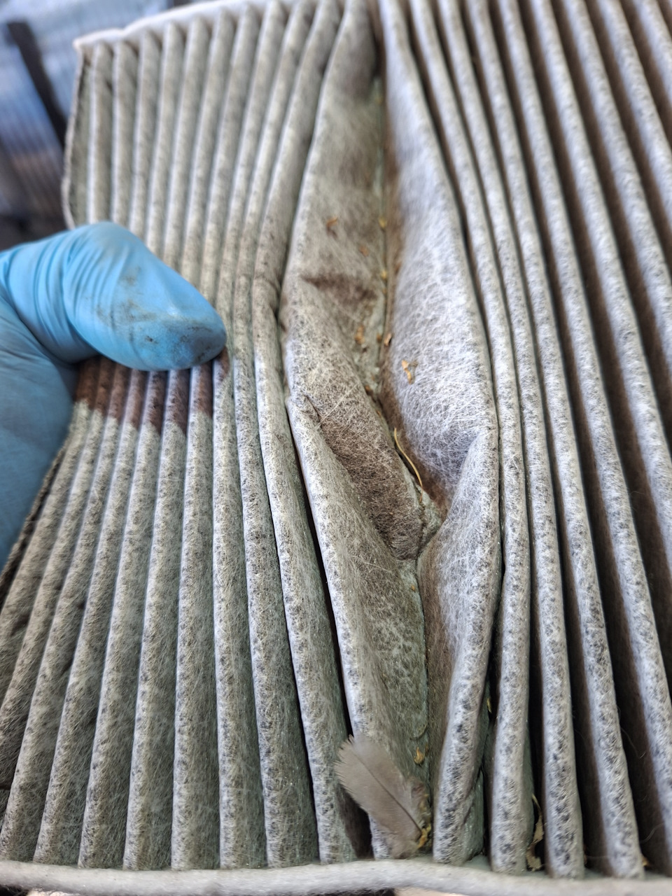 Перо всосал🤣 — Skoda Octavia A7 Mk3