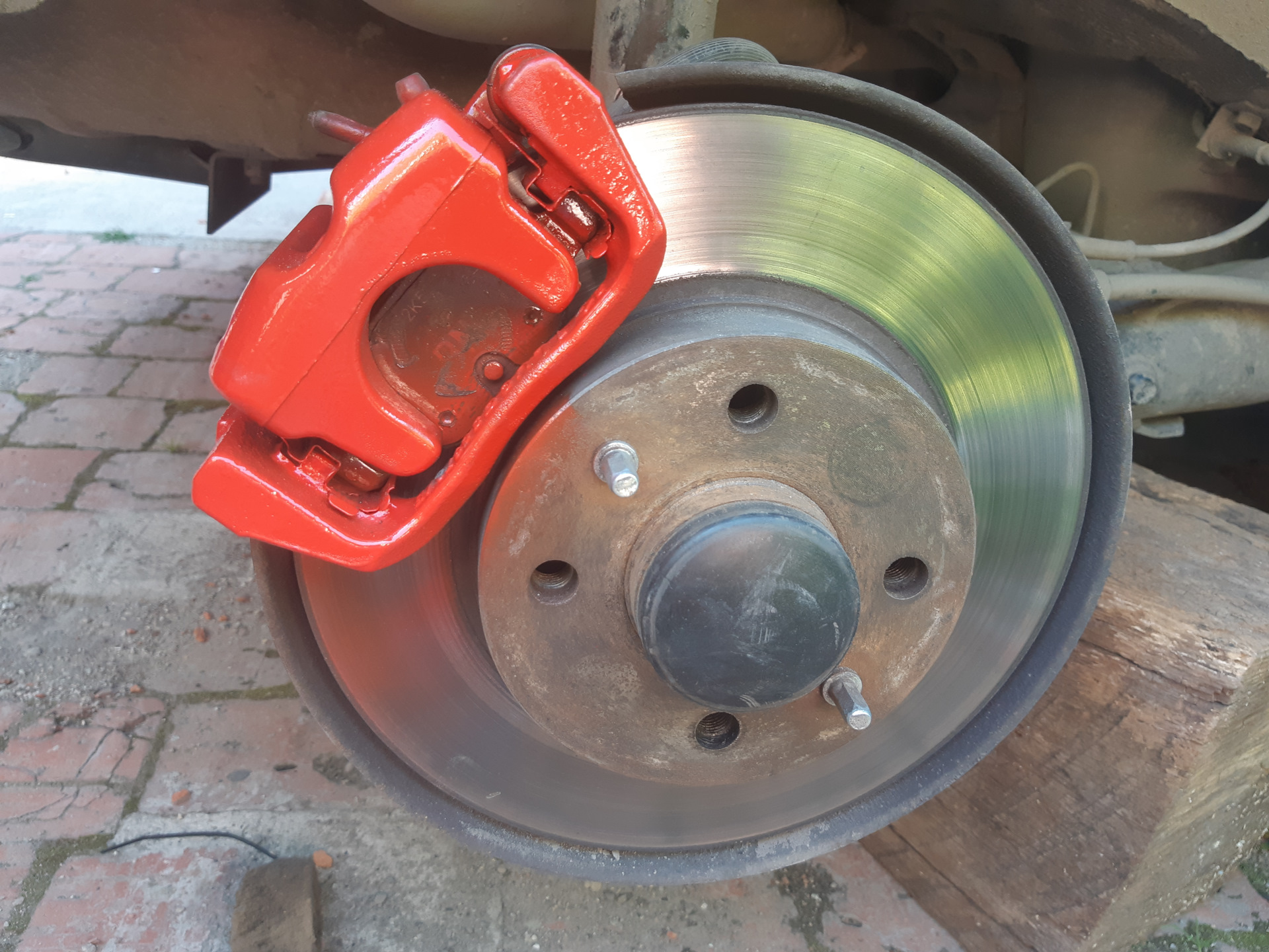 Тип растений и их потребности