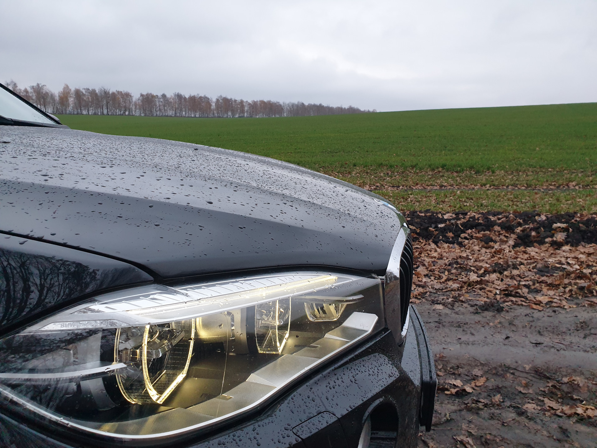 Москва-Орёл-Москва. Снег, слякоть и -2,5 градуса — BMW X5 (F15), 3 л, 2015  года | путешествие | DRIVE2