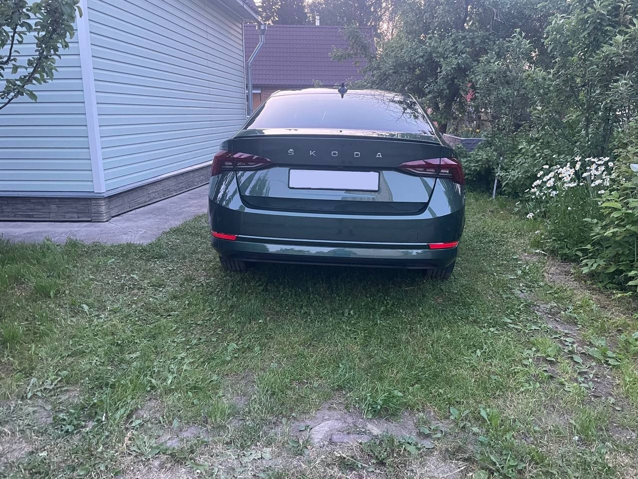 Полировка вручную — Skoda Octavia A8 Mk4, 2 л, 2021 года | стайлинг ...