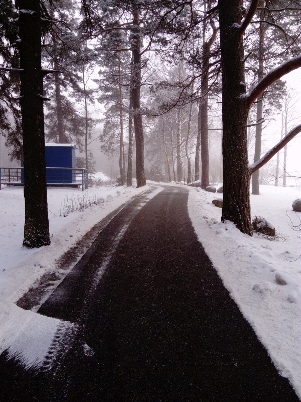 Фото в бортжурнале Renault Sandero 2G