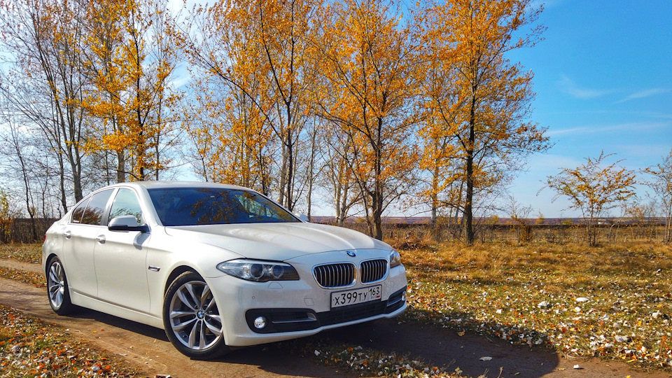 BMW белый x6 осенью