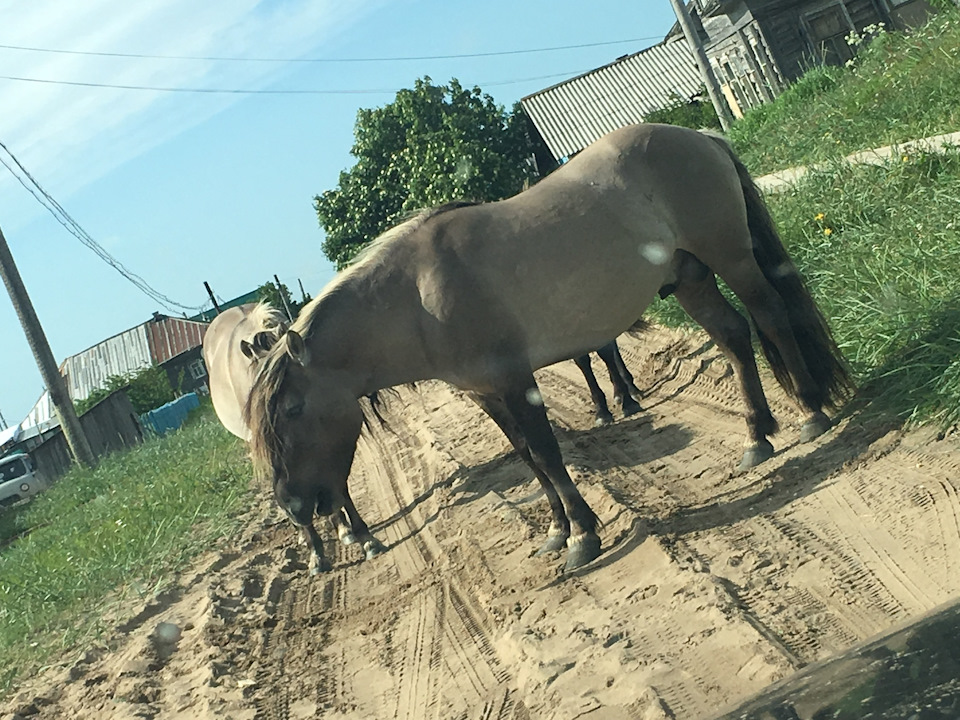 Kolskij Poluostrov Terskij Bereg D Kuzomen Soobshestvo Drajver Puteshestvennik Na Drive2