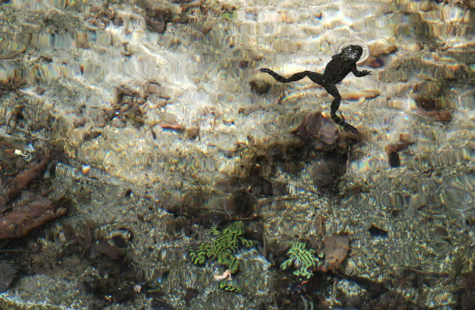 Фото в бортжурнале Toyota Land Cruiser Prado 70-series