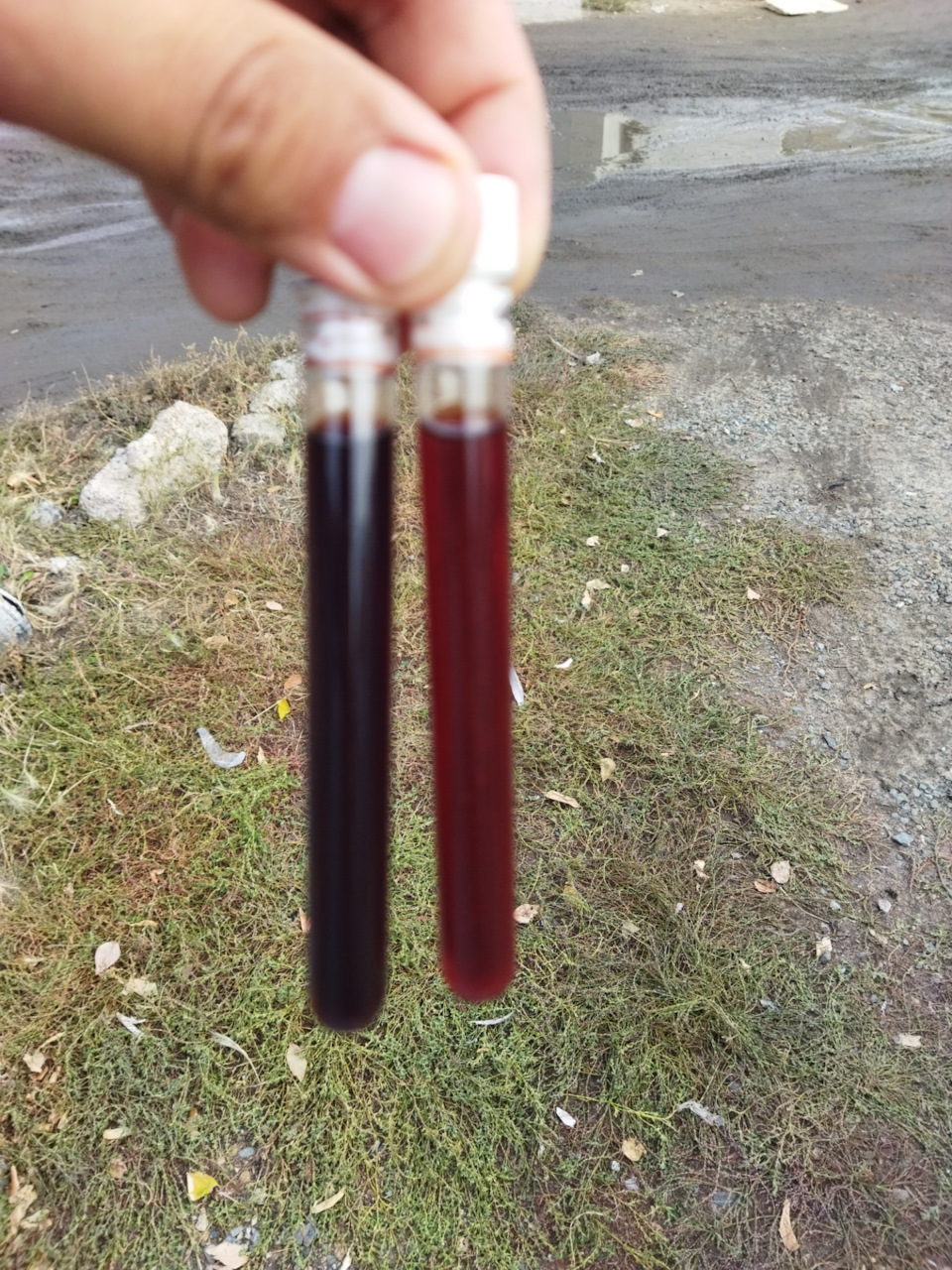 Вторая частичная замена масла в акпп — Hyundai Solaris (2G), 1,6 л ...