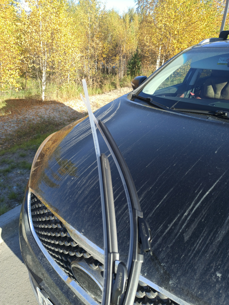Фото в бортжурнале KIA Sorento (3G)