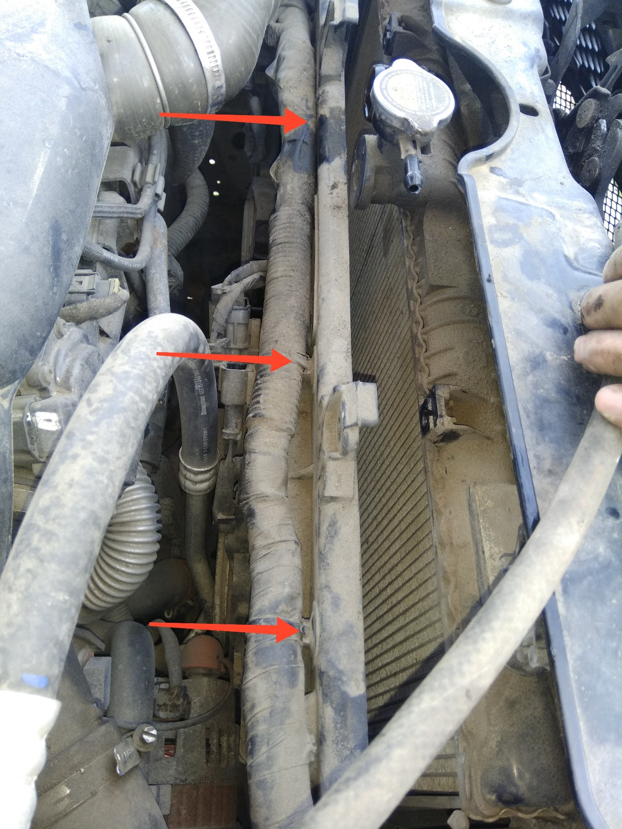 214998904r расположение на кузове фото Мойка радиатора, замена антифриза - Renault Koleos, 2.0 л., 2011 года на DRIVE2