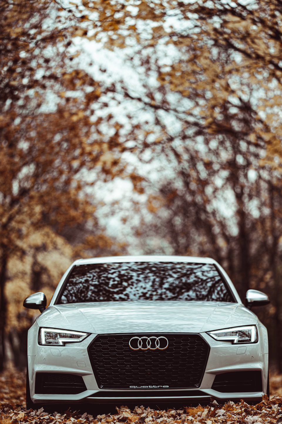 Audi Autumn 2021 🍁 от @autoglimpse — Audi A4 (B9), 2 л, 2017 года |  фотография | DRIVE2