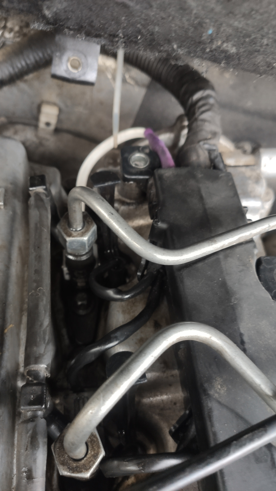 Фото в бортжурнале SsangYong Kyron