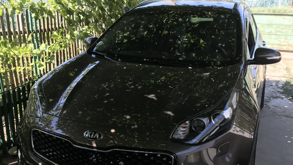 Опрос про ТО — KIA Sportage (4G), 2 л, 2018 года | плановое ТО | DRIVE2