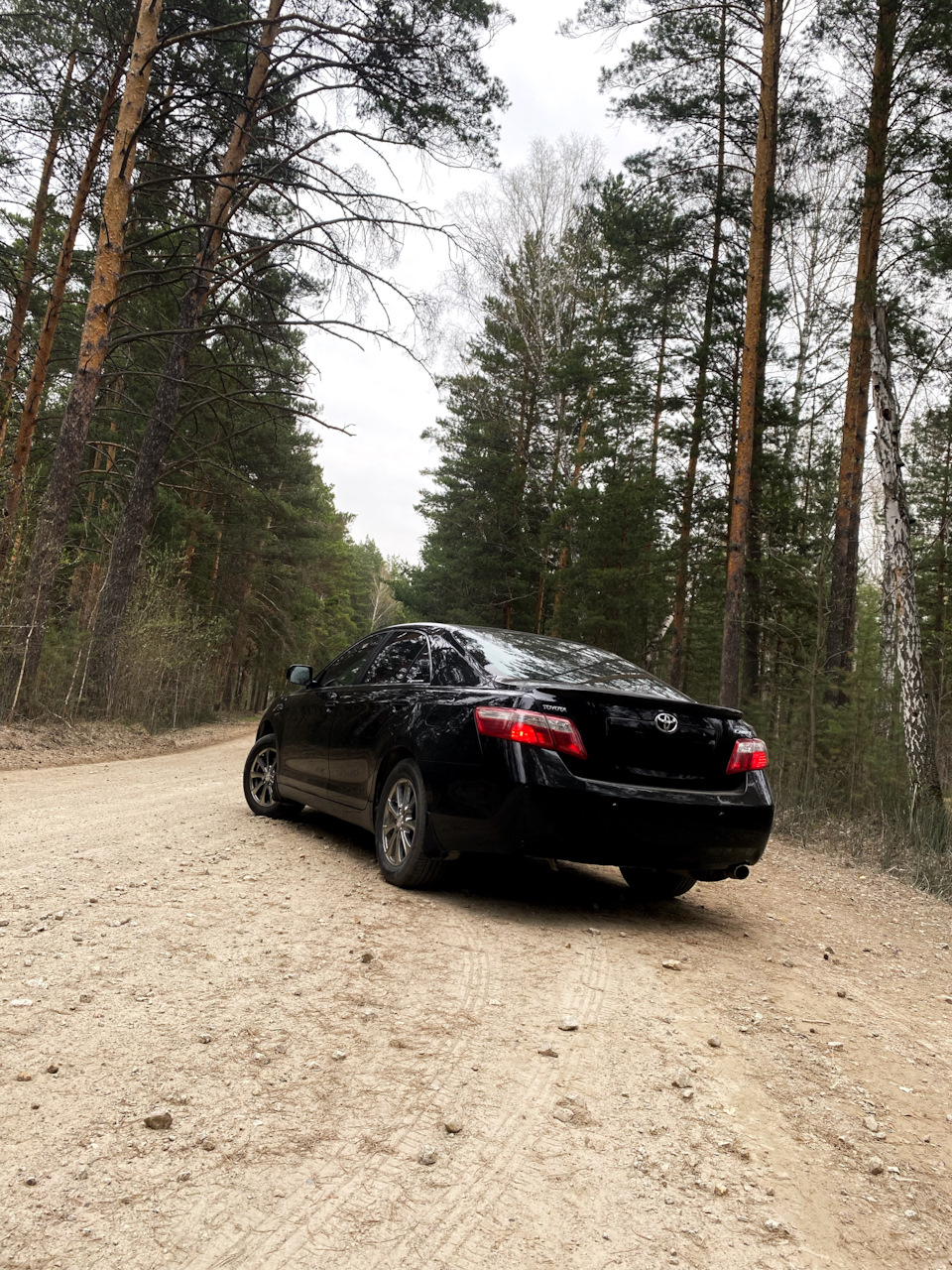 Camry.Лес.Фото — Toyota Camry (XV40), 2,4 л, 2008 года | фотография | DRIVE2