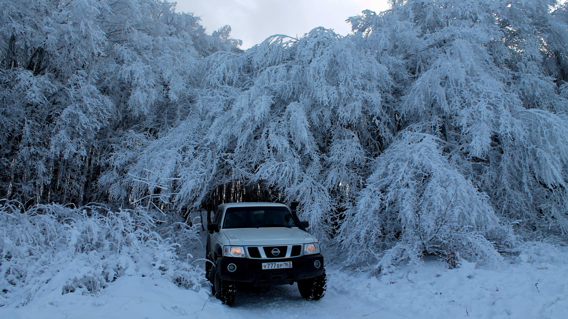 Nissan Patrol (Y61) 4.2 дизельный 2006 | TD42 GL(Arab)10 стран ✓ на DRIVE2