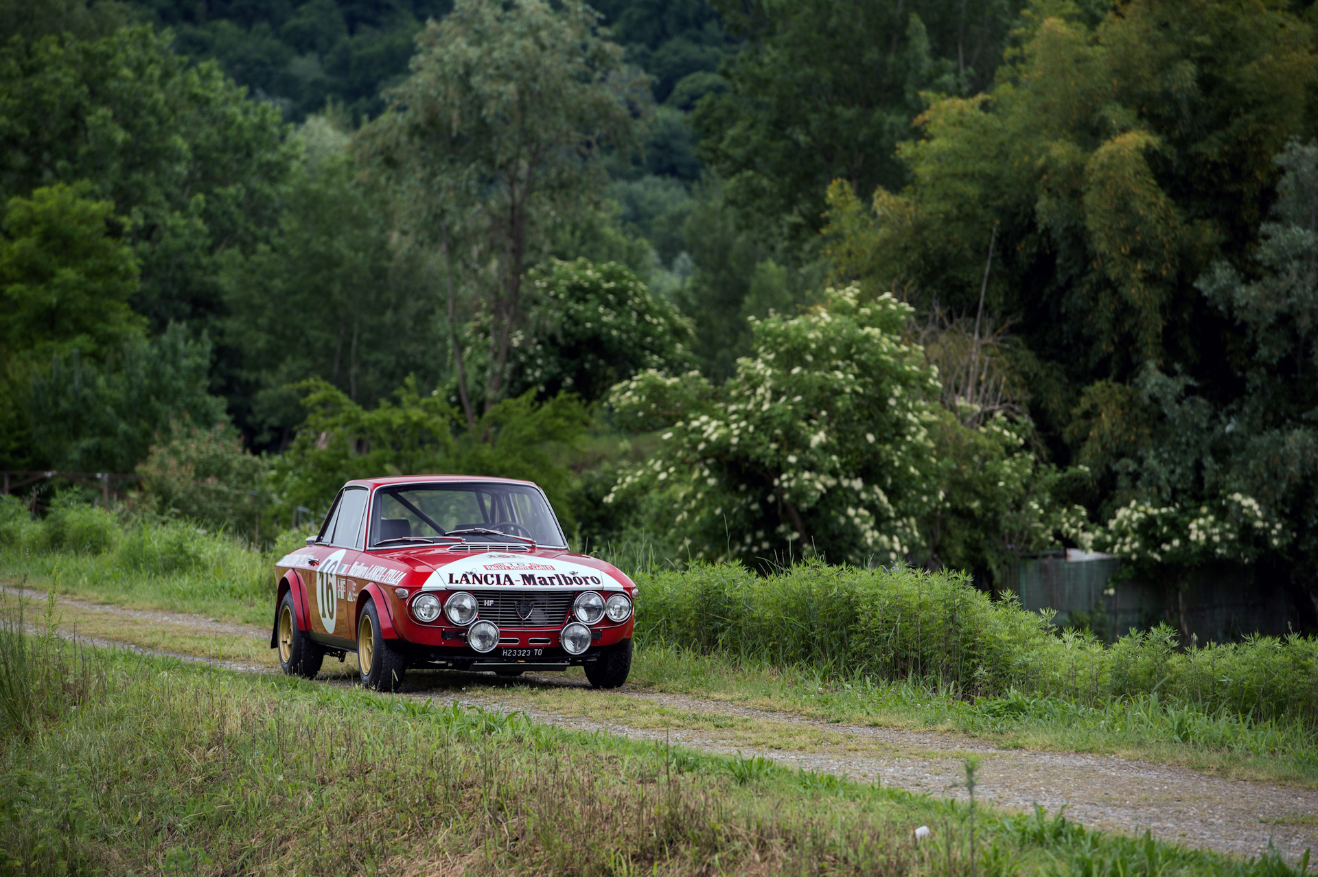 Lancia Fulvia HF Rally