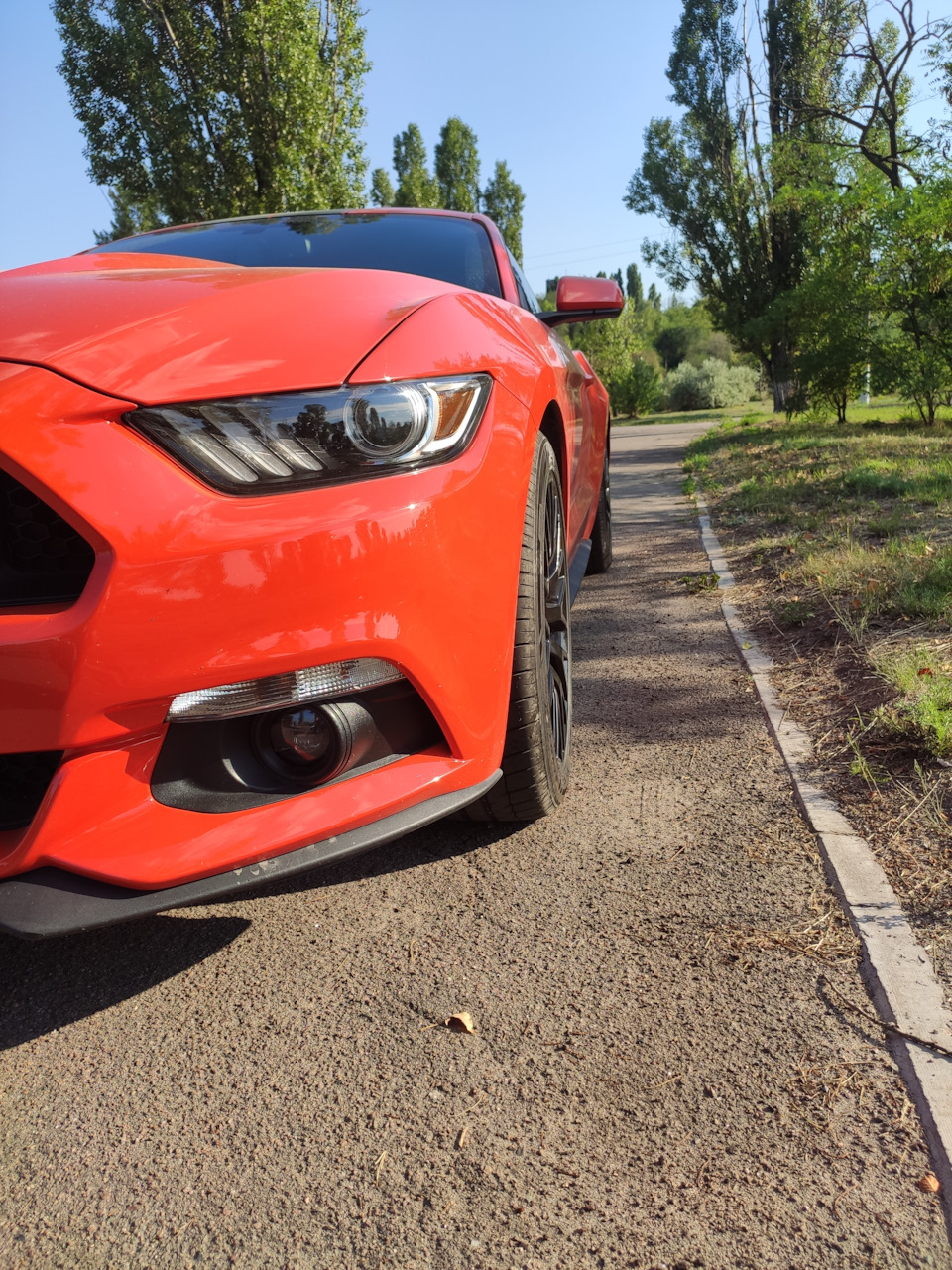 Фото в бортжурнале Ford Mustang (6G)