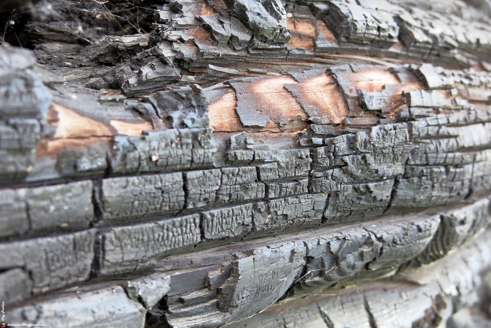 заброшенные храмы рязанской области. Смотреть фото заброшенные храмы рязанской области. Смотреть картинку заброшенные храмы рязанской области. Картинка про заброшенные храмы рязанской области. Фото заброшенные храмы рязанской области заброшенные храмы рязанской области. Смотреть фото заброшенные храмы рязанской области. Смотреть картинку заброшенные храмы рязанской области. Картинка про заброшенные храмы рязанской области. Фото заброшенные храмы рязанской области