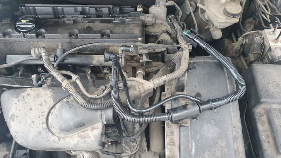 Патрубок ВКГ: а только ли он причина "соплей"? — Peugeot 406, 1,8 л ...