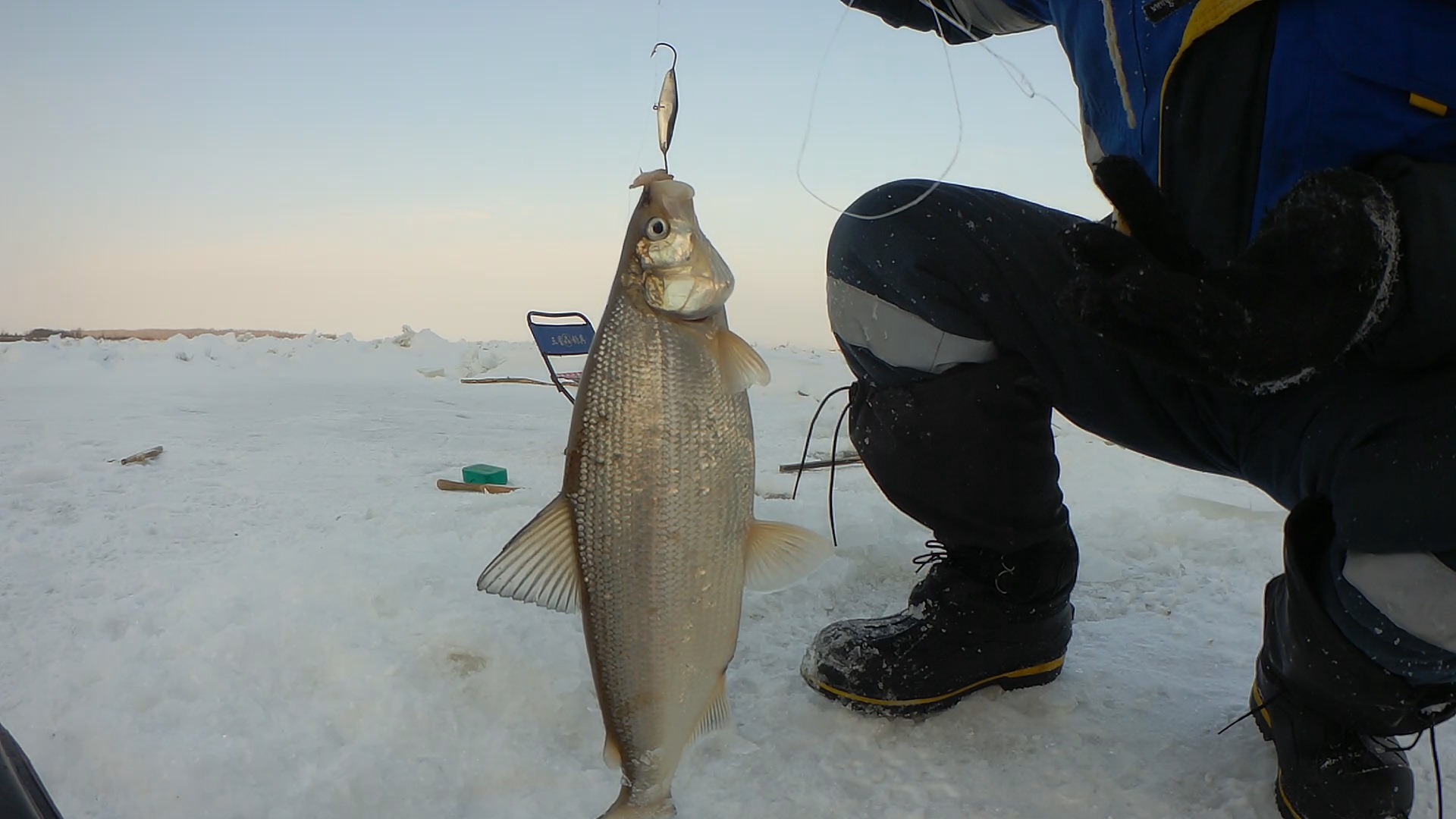 Зимняя рыбалка на сига. Зимняя блесна рипус. Рыбалка на сига зимой. Блесна на сига для зимней рыбалки.