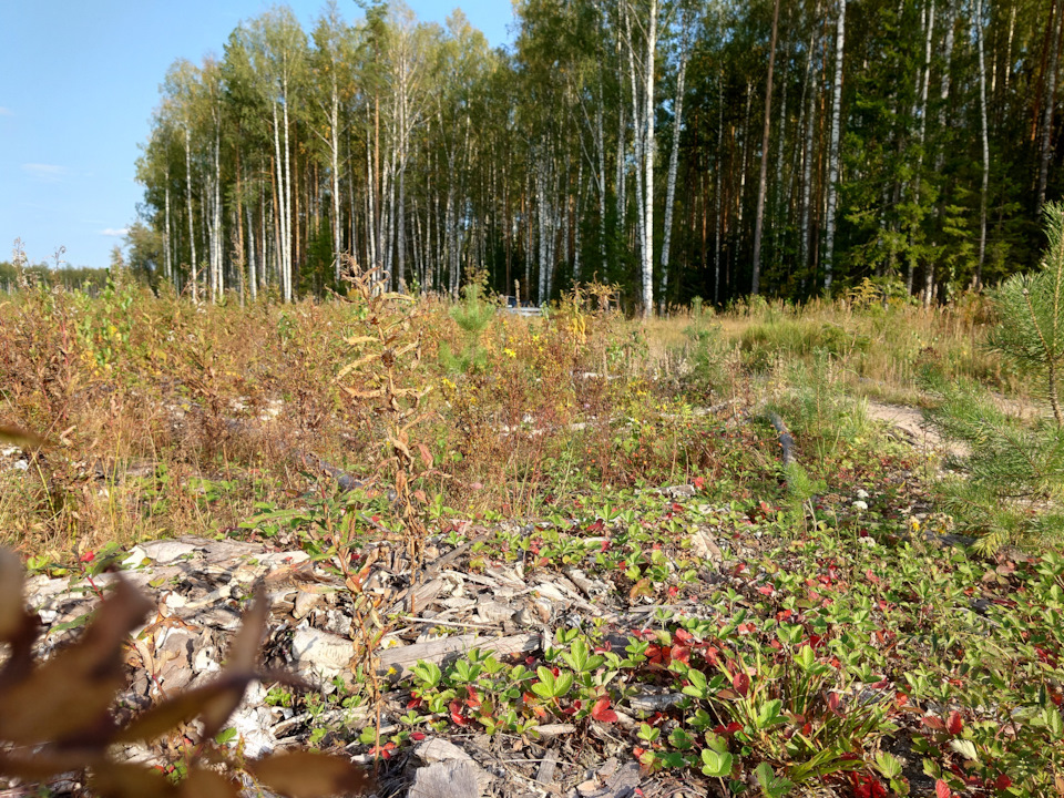 Меняем клиренс руками, не ждём милости от автоматики. — Land Rover ...