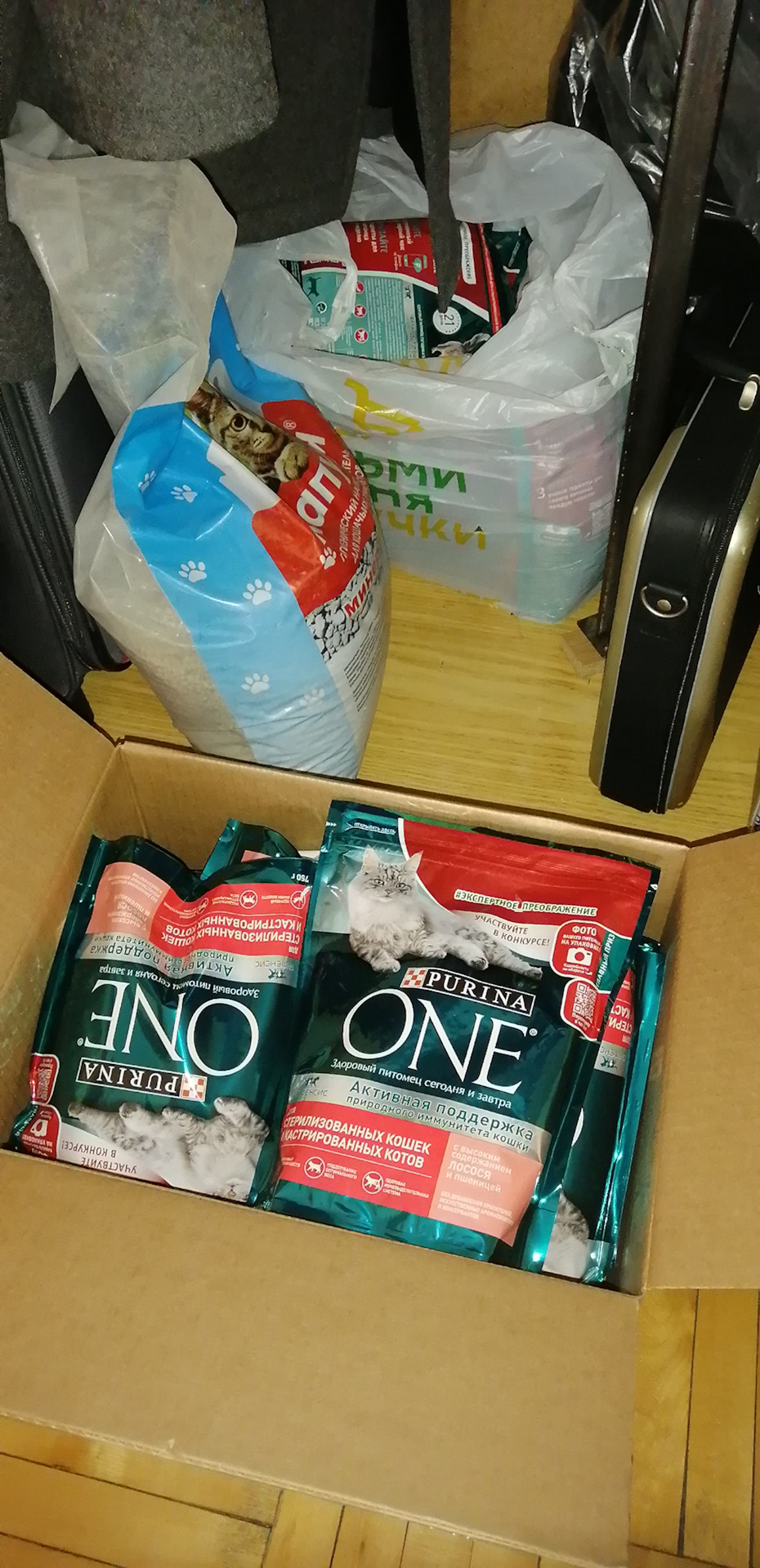 вот такой человек, получается)) — Volkswagen Polo Sedan