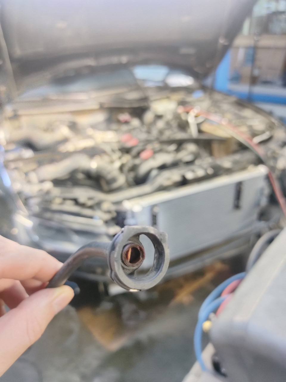 Фото в бортжурнале Audi A5 (1G)