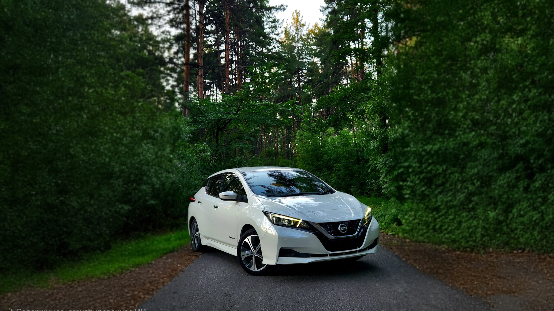 Nissan Leaf второго поколения: обзор и впечатления от тест-драйва