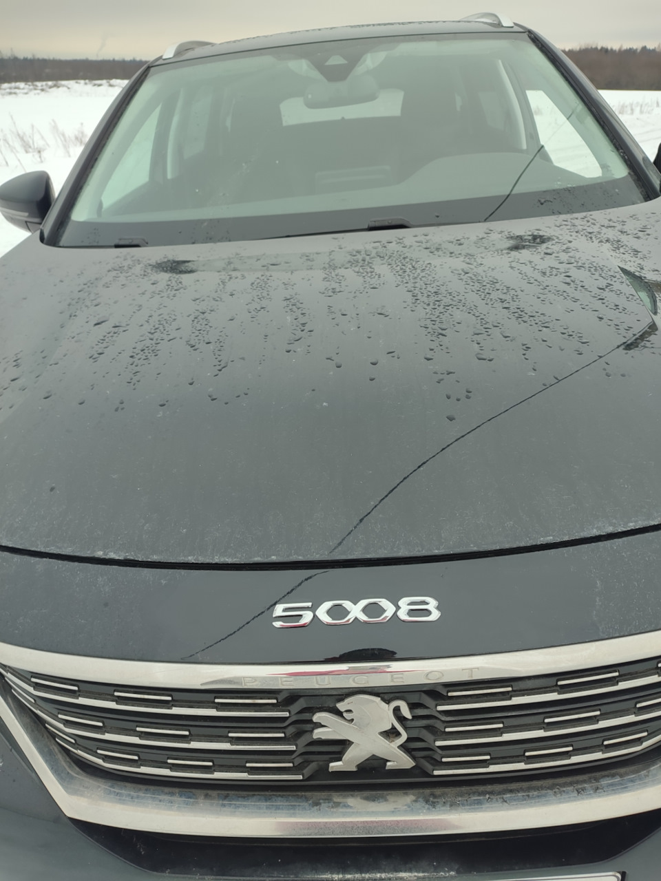 я тоже хочу машину. я тоже хочу фильм 2012. сериал шторм александр мосин. я тоже хочу фильм. я тоже хочу фильм балабанова.