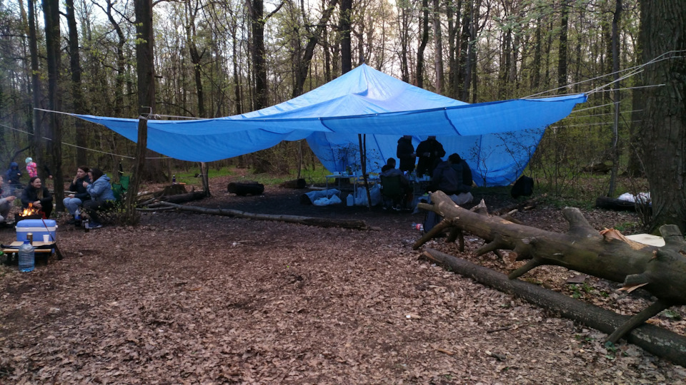 Фото в бортжурнале Ford Focus Sedan II