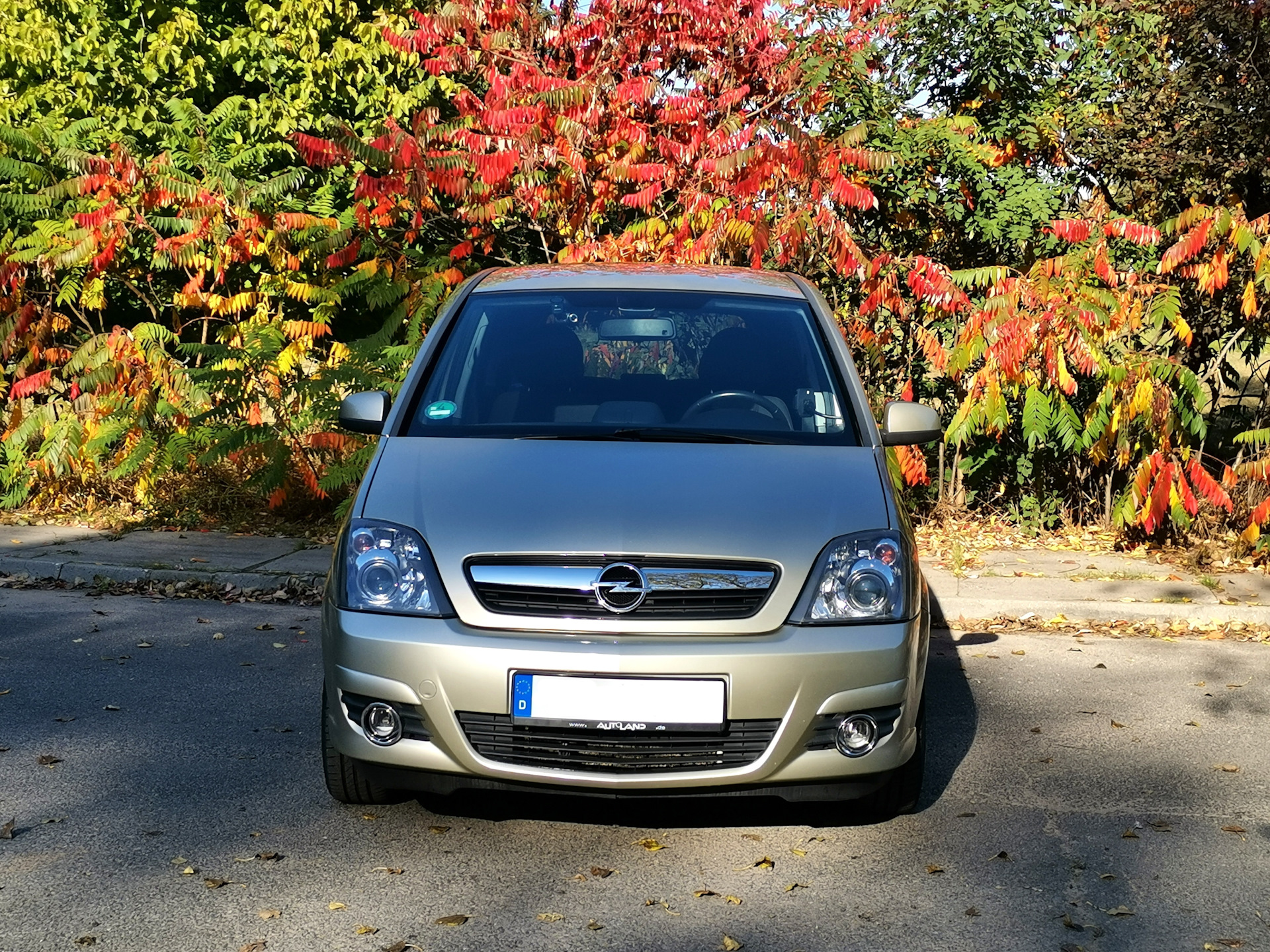 Нюся автомобиль фото