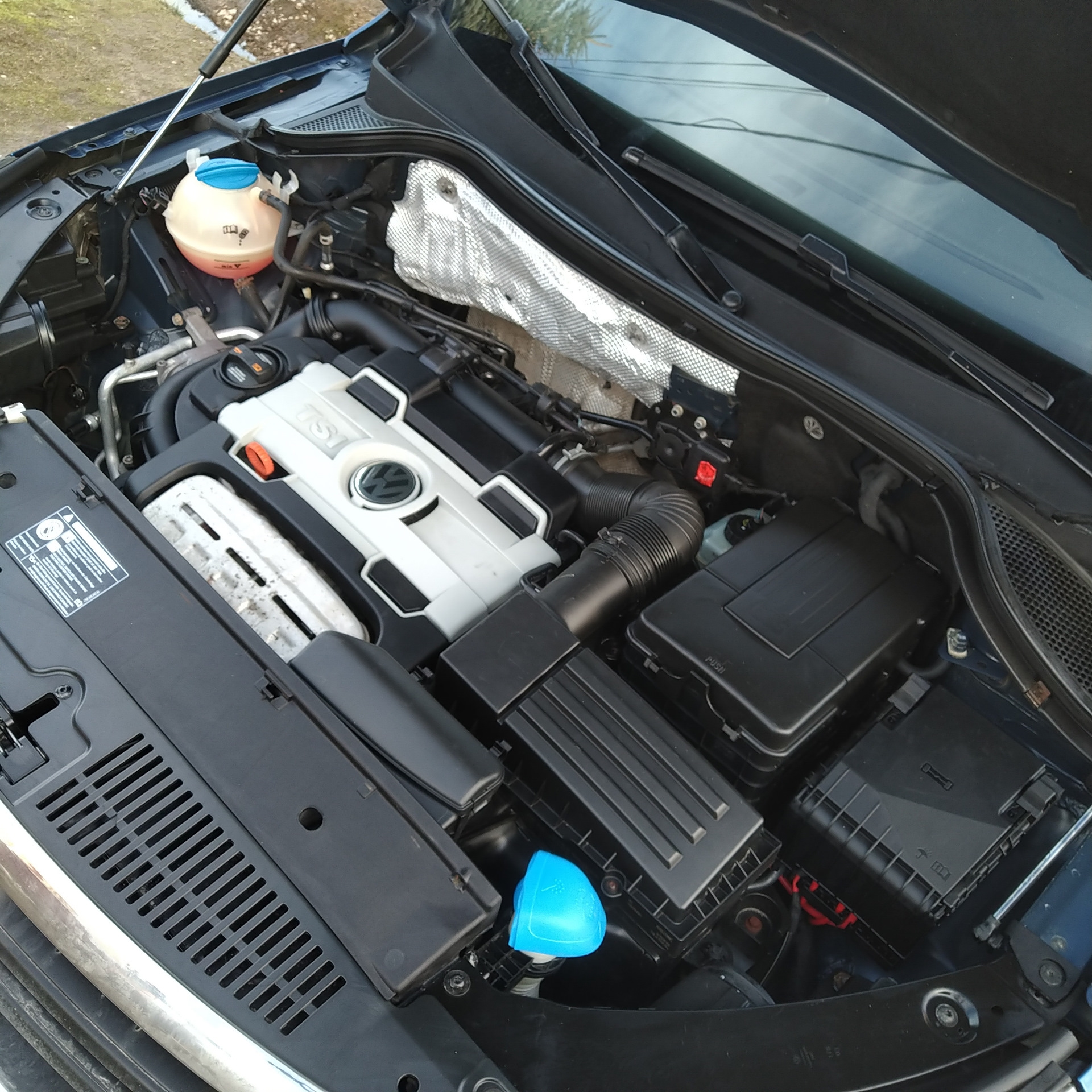 Тигуан на лете + брызговики Frosch — Volkswagen Tiguan (1G), 1,4 л ...