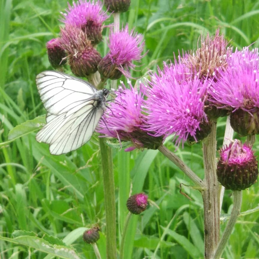 Фото в бортжурнале Suzuki Escudo (1G)