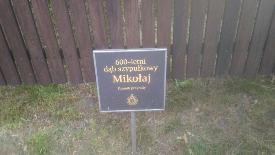 Дубу 600 лет — Toyota Celica (230)