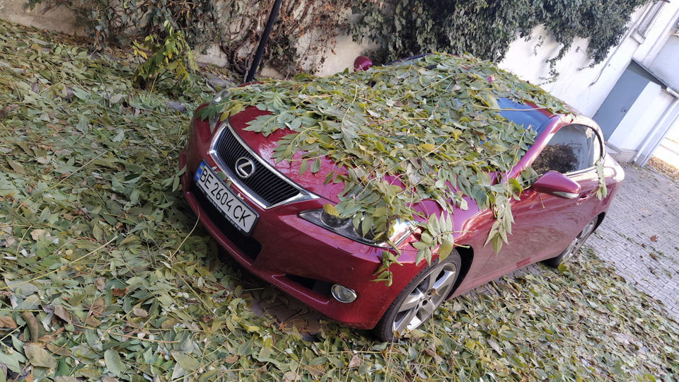 Фото в бортжурнале Lexus IS Convertible