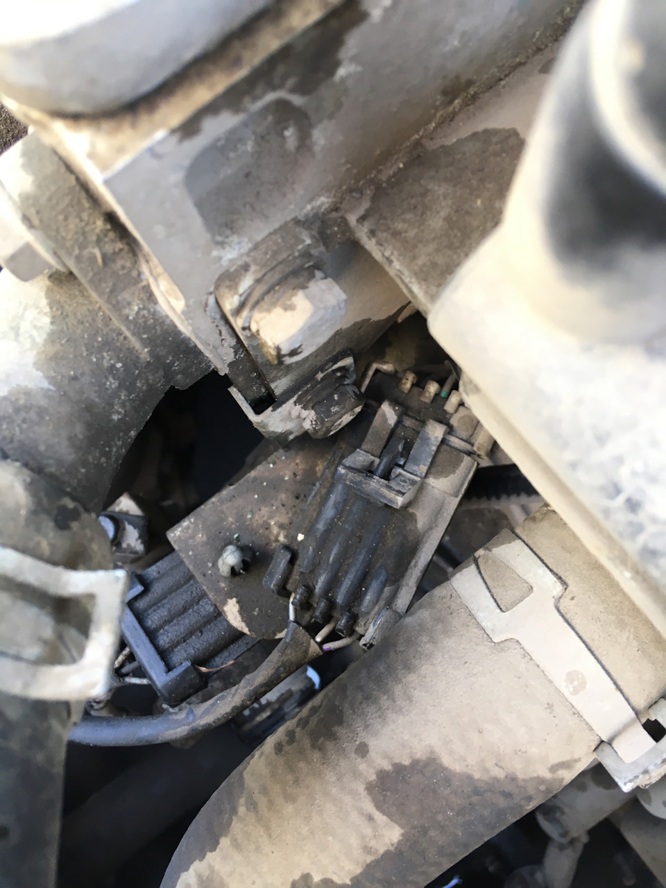 Фото в бортжурнале Geely MK Cross