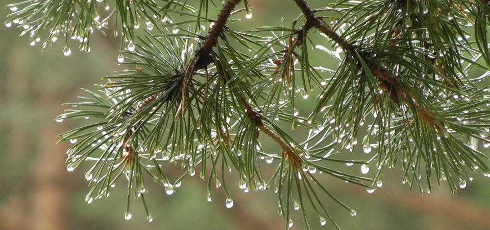 Фото в бортжурнале Mitsubishi Pajero Sport (2G)