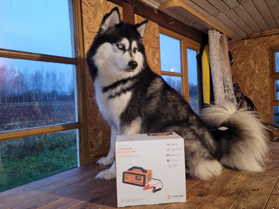 Фото в бортжурнале BMW X5 (E53). Запчасти на фото: AKS12, Z2100