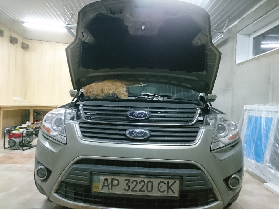 Этот беспощадный тюнинг, тизер вообщем. — Ford Kuga (1G), 2,5 л, 2010 ...