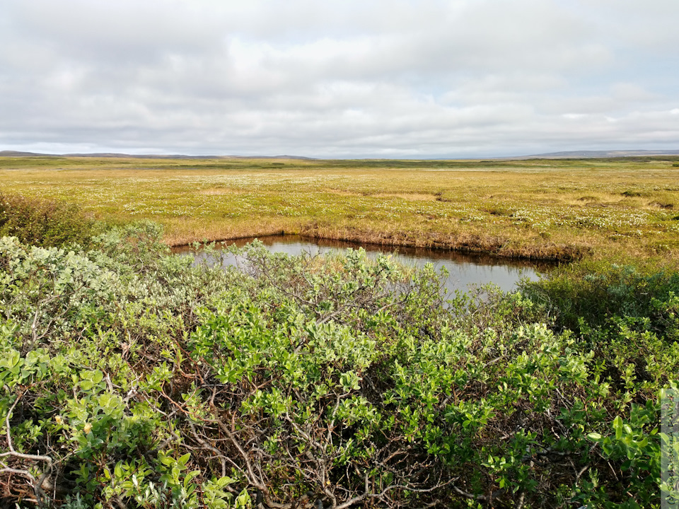 Фото в бортжурнале SsangYong Kyron