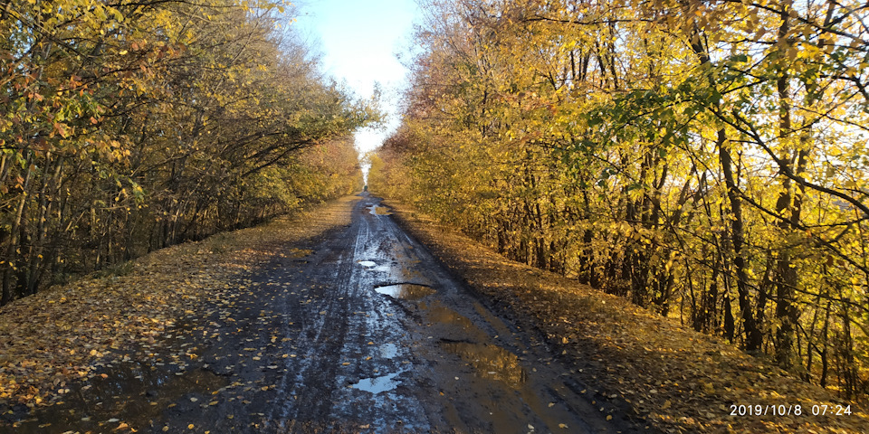 Фото в бортжурнале КАМАЗ 45143