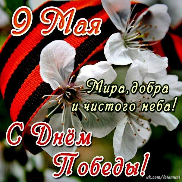 Чистого неба над головой и мирного картинки, дню
