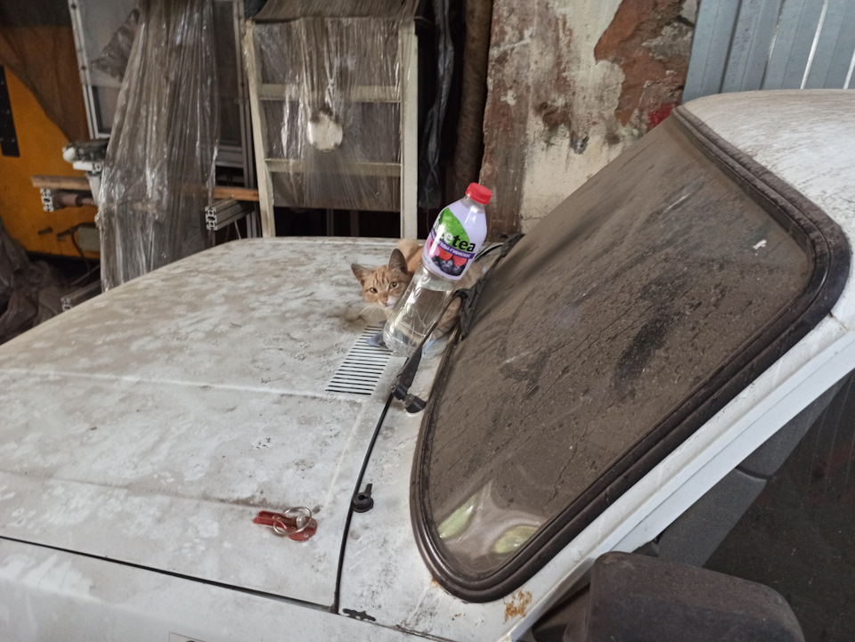 Как тыкву превратить в карету. KCQxmiWN10ph99zTCV9eT0SVdYY 960. Как тыкву превратить в карету фото. Как тыкву превратить в карету-KCQxmiWN10ph99zTCV9eT0SVdYY 960. картинка Как тыкву превратить в карету. картинка KCQxmiWN10ph99zTCV9eT0SVdYY 960. Товарищи! Просьба голодными этот пост не читать! Как тыкву превратить в карету. KCQxmiWN10ph99zTCV9eT0SVdYY 960. Как тыкву превратить в карету фото. Как тыкву превратить в карету-KCQxmiWN10ph99zTCV9eT0SVdYY 960. картинка Как тыкву превратить в карету. картинка KCQxmiWN10ph99zTCV9eT0SVdYY 960. Товарищи! Просьба голодными этот пост не читать!