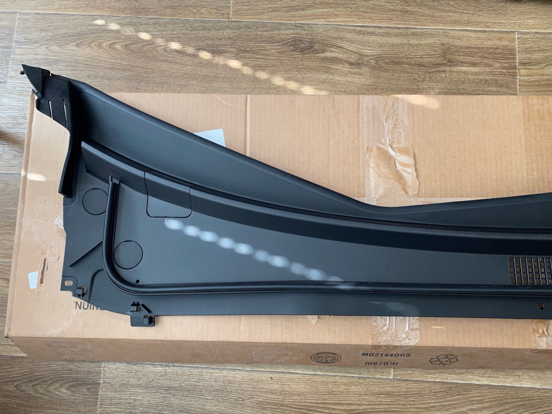 жабо задние