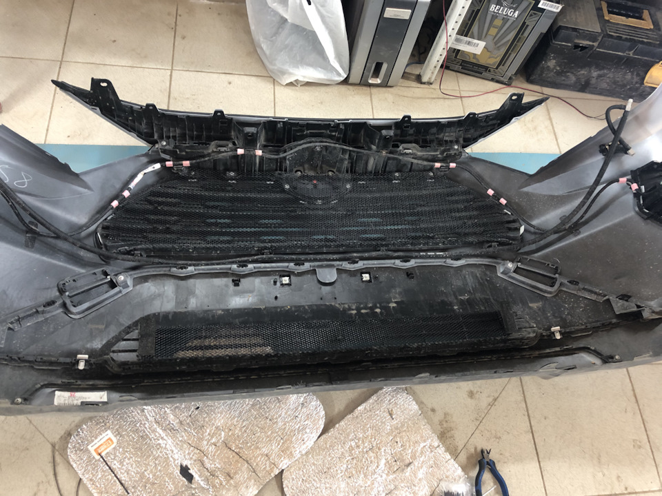 Сетка на радиатор — Toyota RAV4 (5G), 2 л, 2019 года | аксессуары | DRIVE2