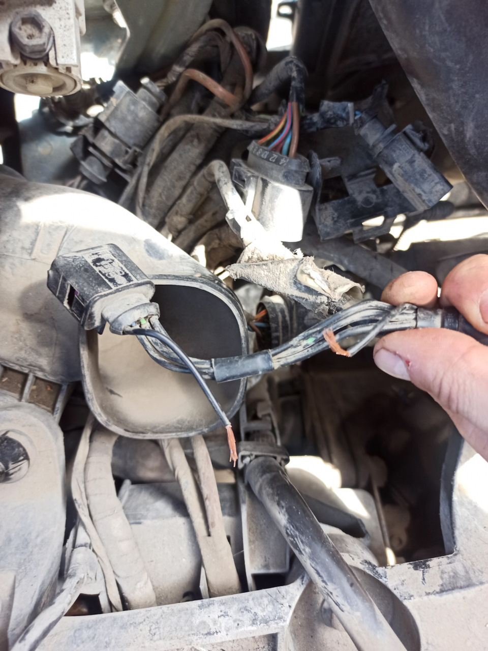 Сигнал нагрузки на клемме генератора DF — недостоверный сигнал — Skoda ...