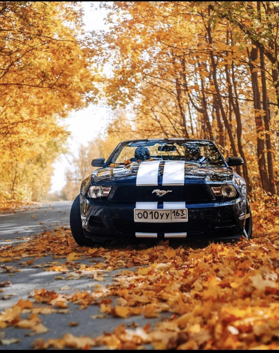 Мустанг на выборах Машины дня ☺️ — Ford Mustang (5G), 4 л, 2009 года |  фотография | DRIVE2