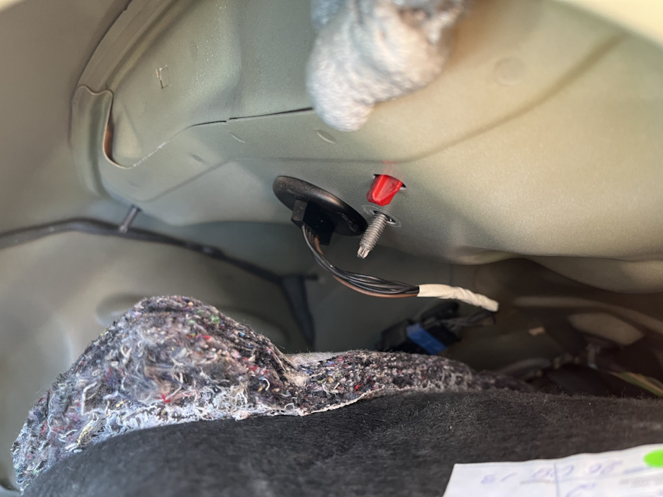 Лампочка для заднего правого стопа — Citroen C4 L, 1,6 л, 2013 года ...