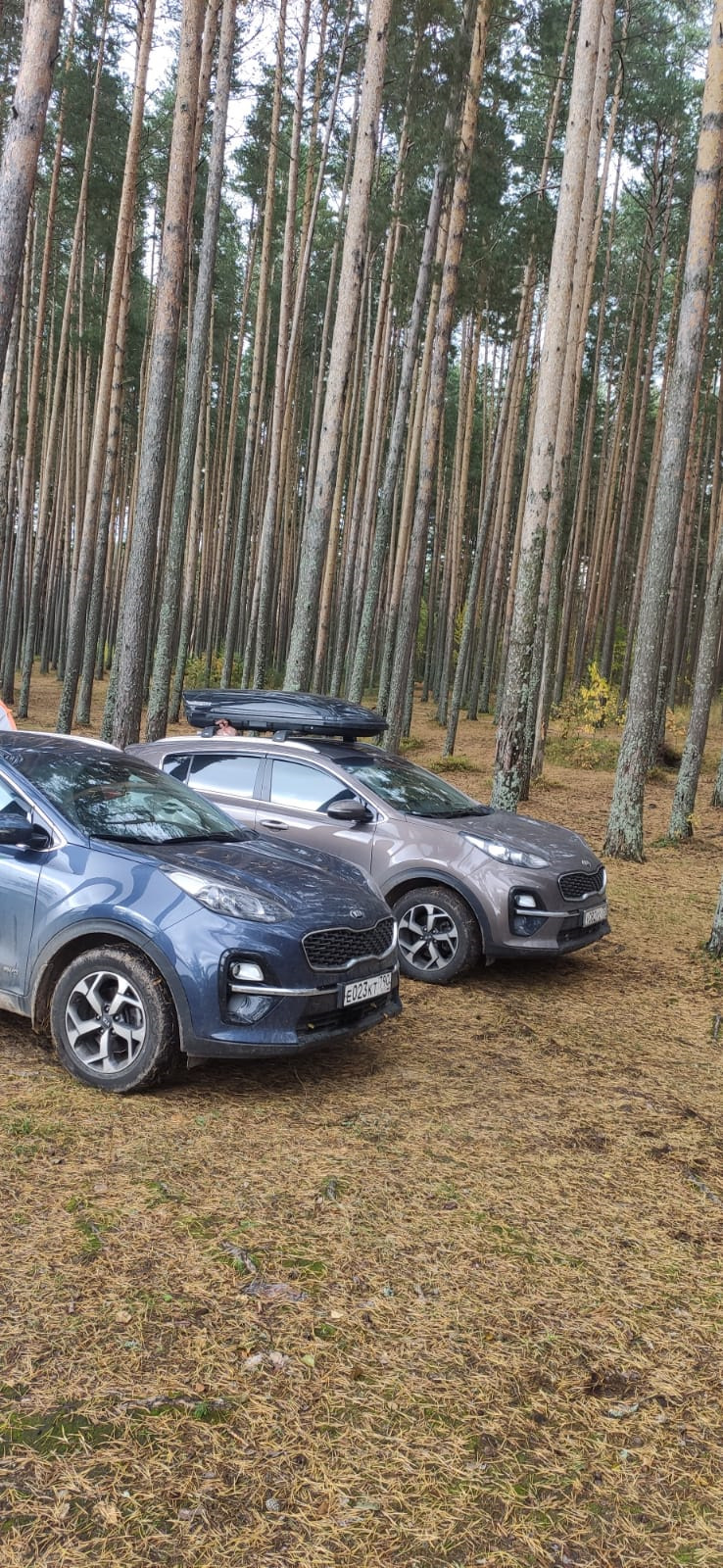 4ый год владения авто… — KIA Sportage (4G), 2 л, 2019 года | просто так |  DRIVE2