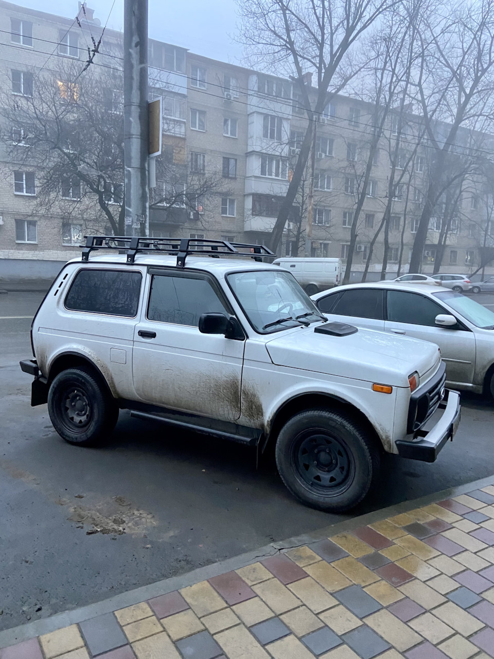 5. Писк/скрип от переднего колеса — Lada 4x4 3D, 1,7 л, 2018 года ...