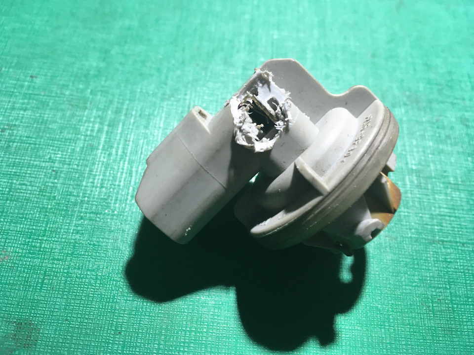 Патрон лампы заднего хода форд фокус 2. Задний патрон фокус 2 хэтчбек. Патрон указателя поворота заднего форд фокус 2. Патрон лампы заднего фонаря форд фокус 2 хэтчбек. Патрон стоп сигнала фокус 2.