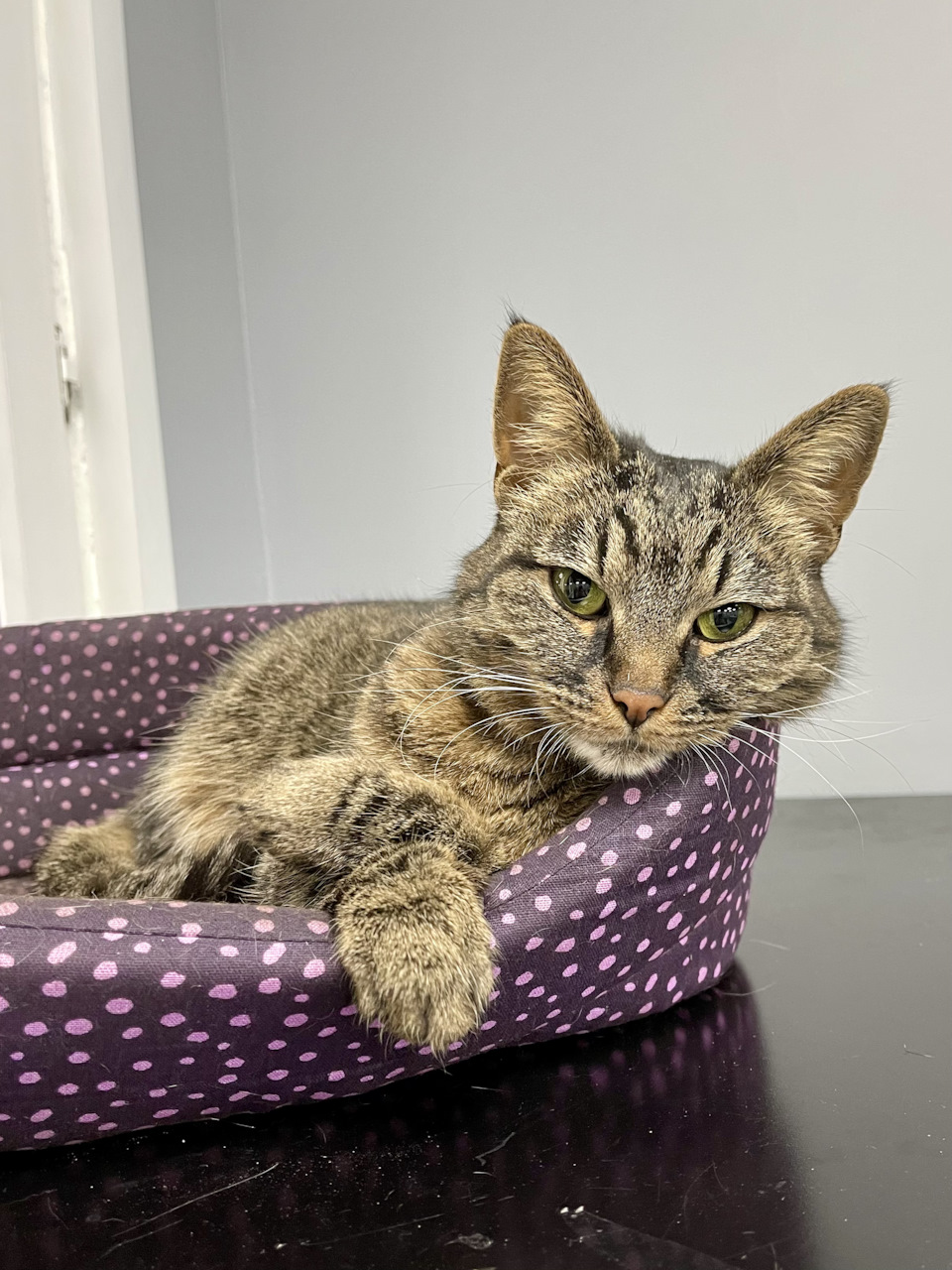 ТО — Nissan Qashqai (2G), 2 л, 2020 года | плановое ТО | DRIVE2